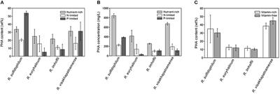 Acetate-Inducing Metabolic States Enhance Polyhydroxyalkanoate Production in Marine Purple Non-sulfur Bacteria Under Aerobic Conditions